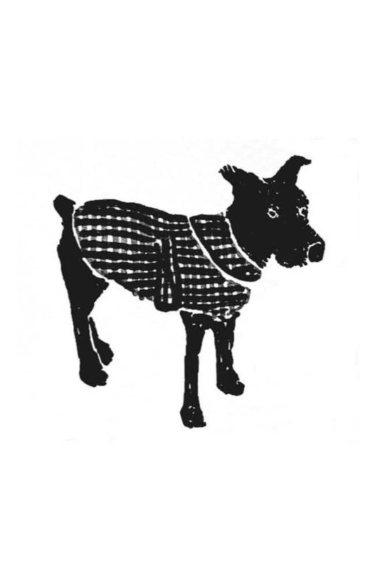 The Barka Dog Coat Pattern - Merchant & Mills