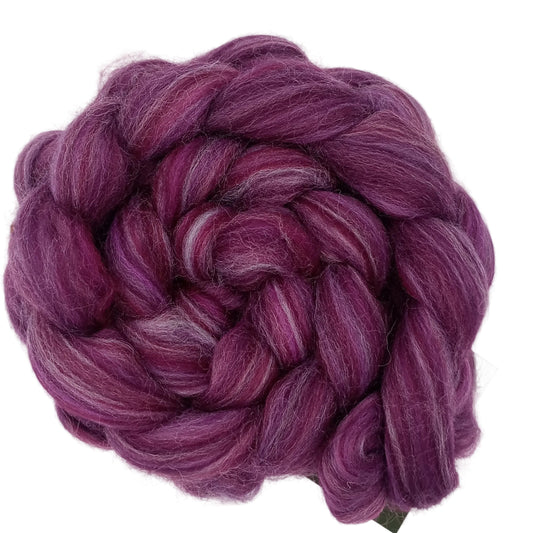 A coiled bundle of purple and magenta variegated wool roving, likely alpaca or fine sheep's wool, photographed on a clean white background.