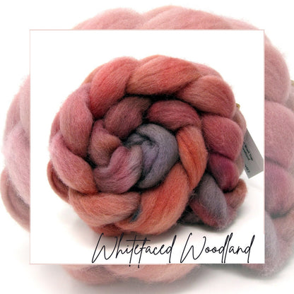 Whitefaced Woodland Hand Dyed Combed Wool Top  100g WW05