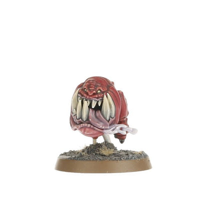 Warhammer Age of Sigmar Gloomspite Gitz Squig Herd