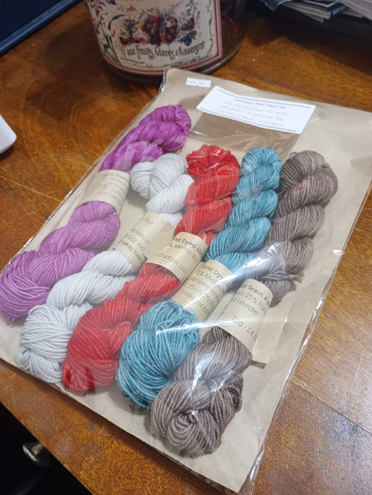 Jewelspun Mini Skein Set