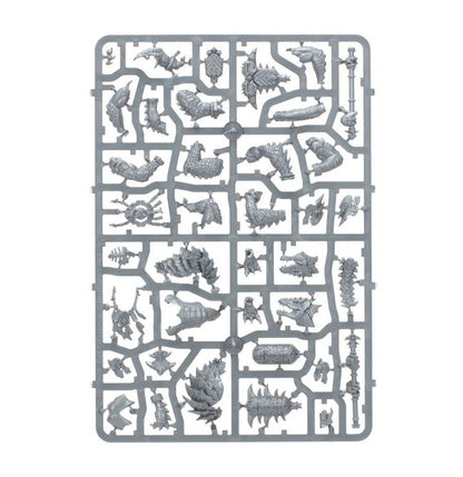 Warhammer Age of Sigmar Spearhead Seraphon