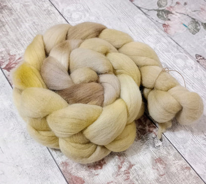 Hand Dyed Merino Wool Top Mushroom Magic 100g MM08
